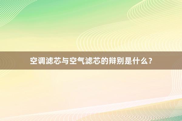 空调滤芯与空气滤芯的辩别是什么？